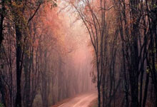 lol战绩查询-FPX险胜BLG，Vetheo一己之力扛起全队，逆境中的英雄崛起