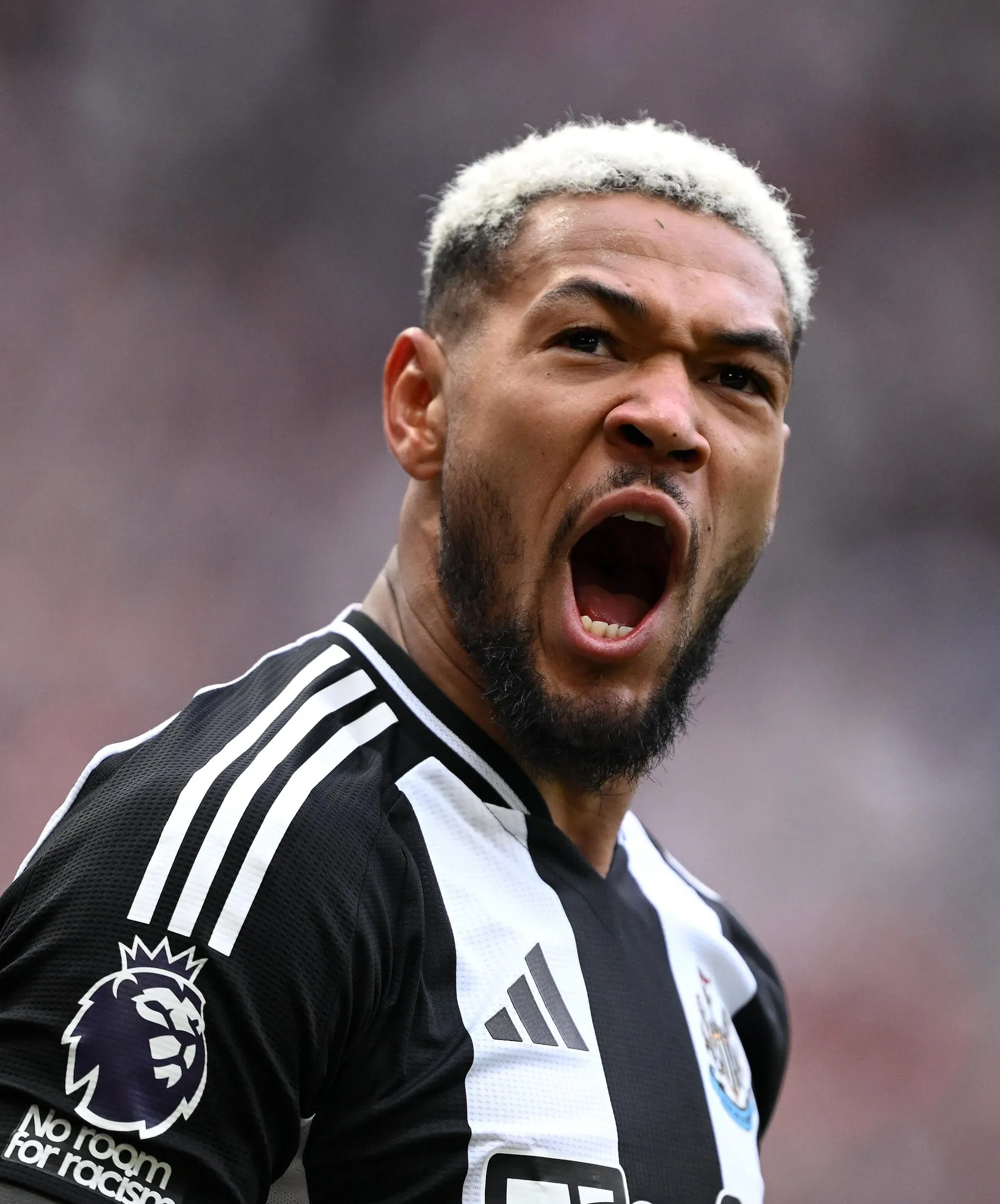 包含纽卡斯尔主场失利，面临保级艰难的词条