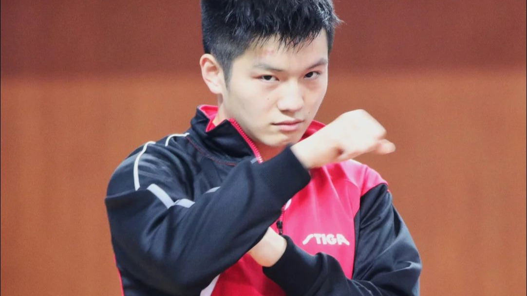 包含比利时乒乓球队血洗奥地利乒乓球队，樊振东绝境逆转的词条