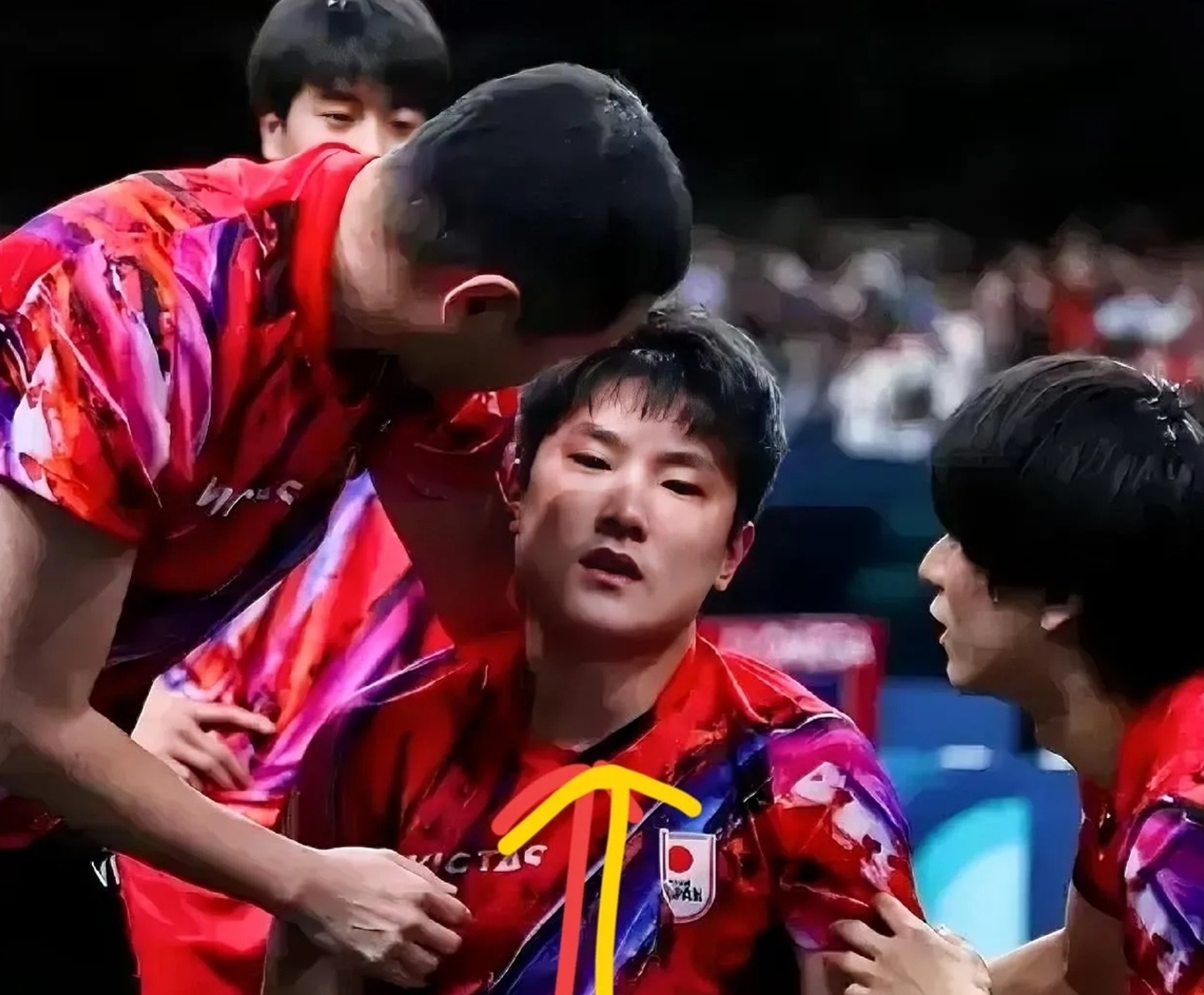 关于法国乒乓球队力克德国乒乓球队，张本智和制霸全场的信息